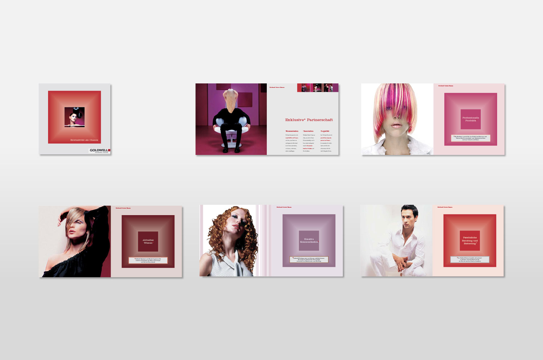 leistungskatalog-goldwell-Projektbeispiel